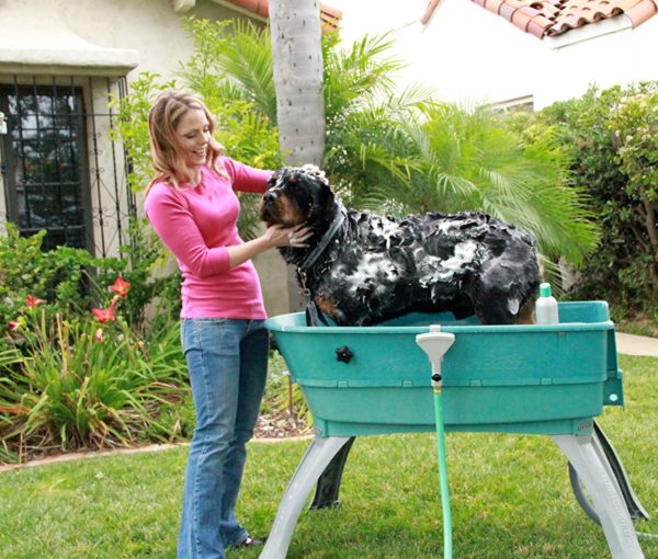 8 Best Bathtubs for Dogs.Elavated,Affordable Home Dog Bathtubs