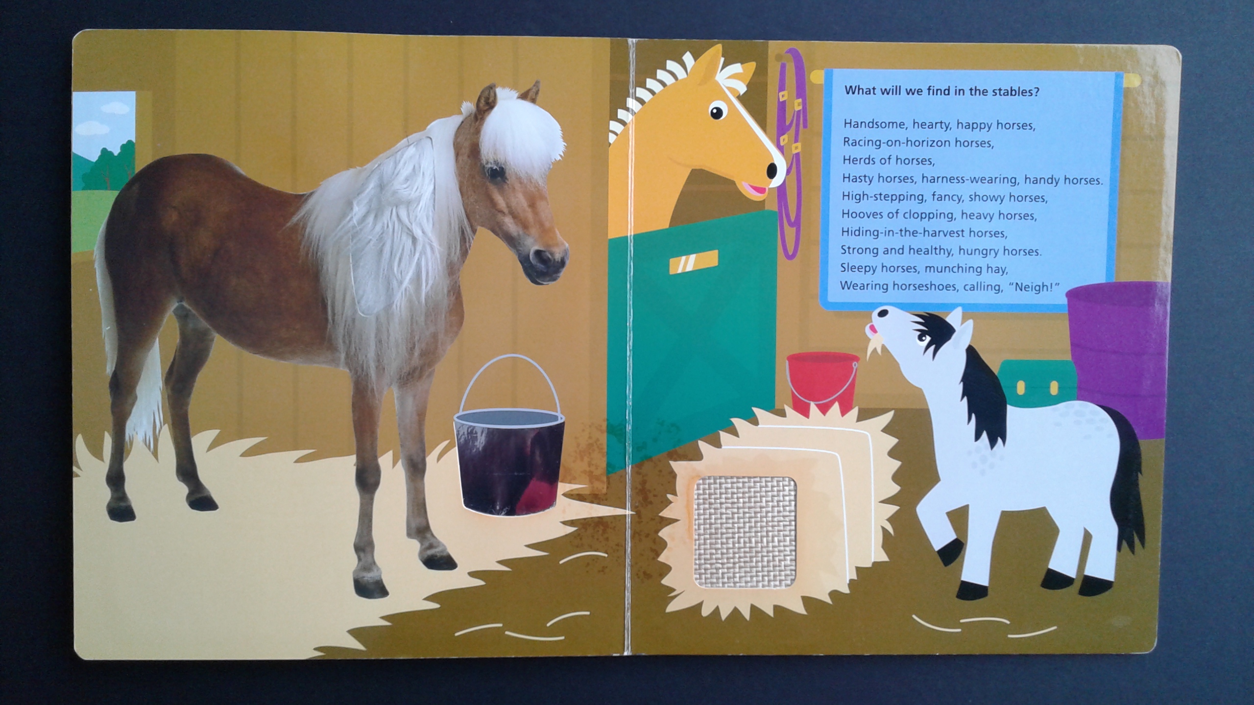 Baby Einstein, baby MacDonald on the Farm Baby Einstein, baby MacDonald on the Farm