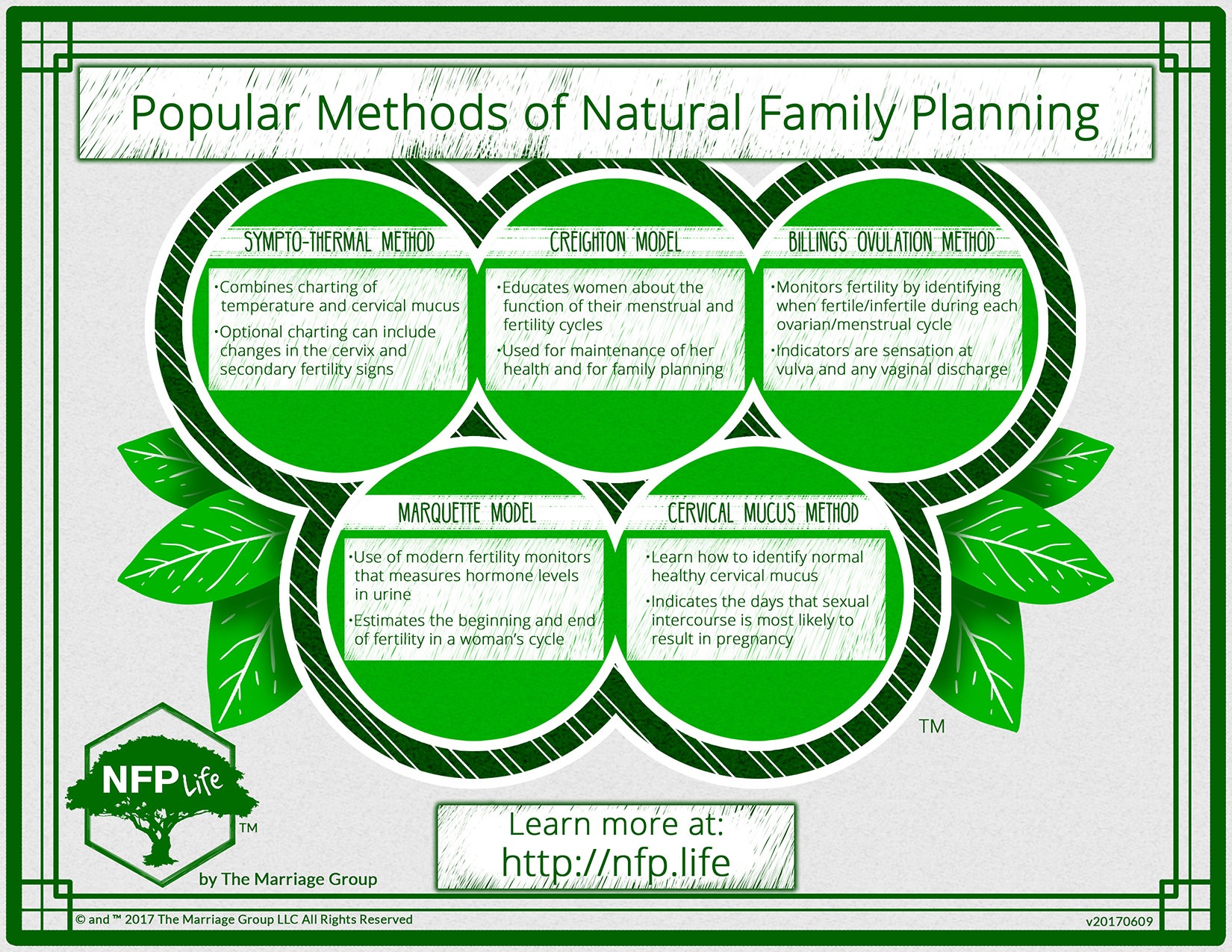 Announcing NFP Life An introduction to Natural Family Planning The Marriage Group