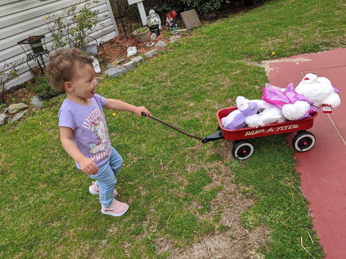 National Little Red Wagon Day » The Martha Review