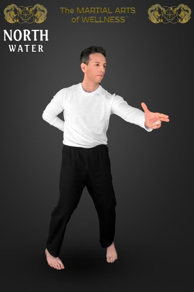 The System The Martial Arts of Wellness