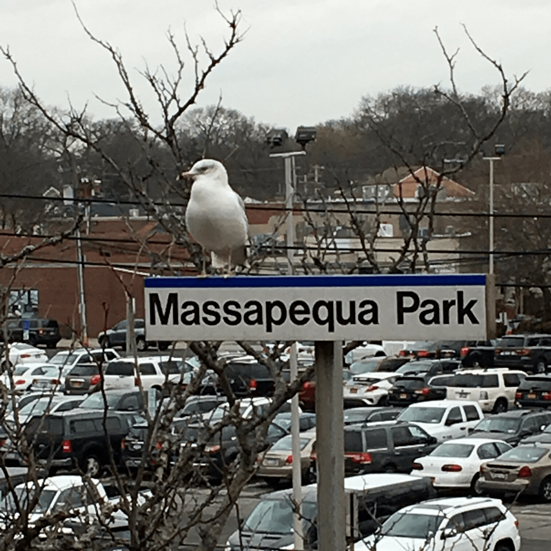 Massapequa History About Us The Massapequas