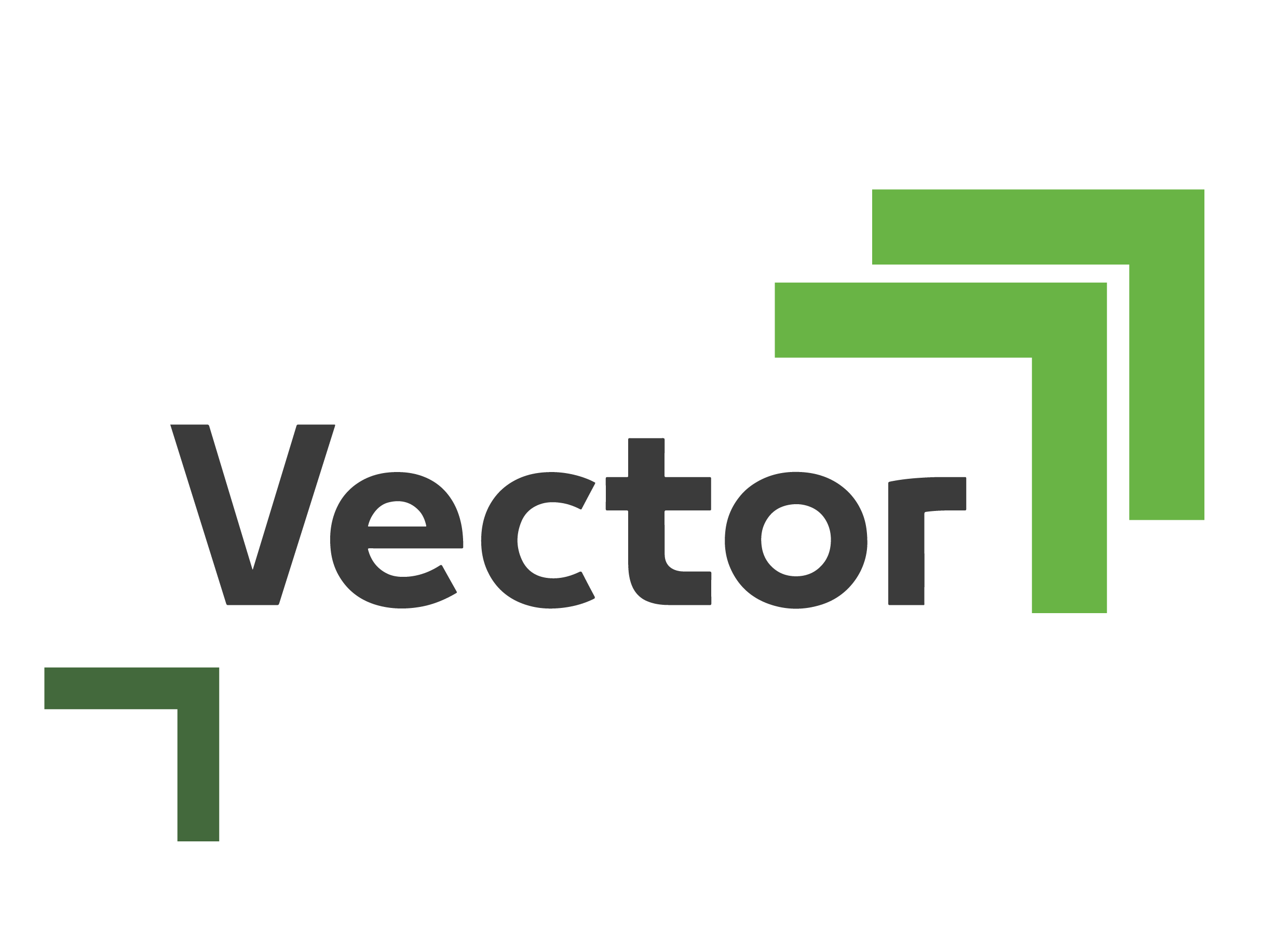 Vector Car Rental Services