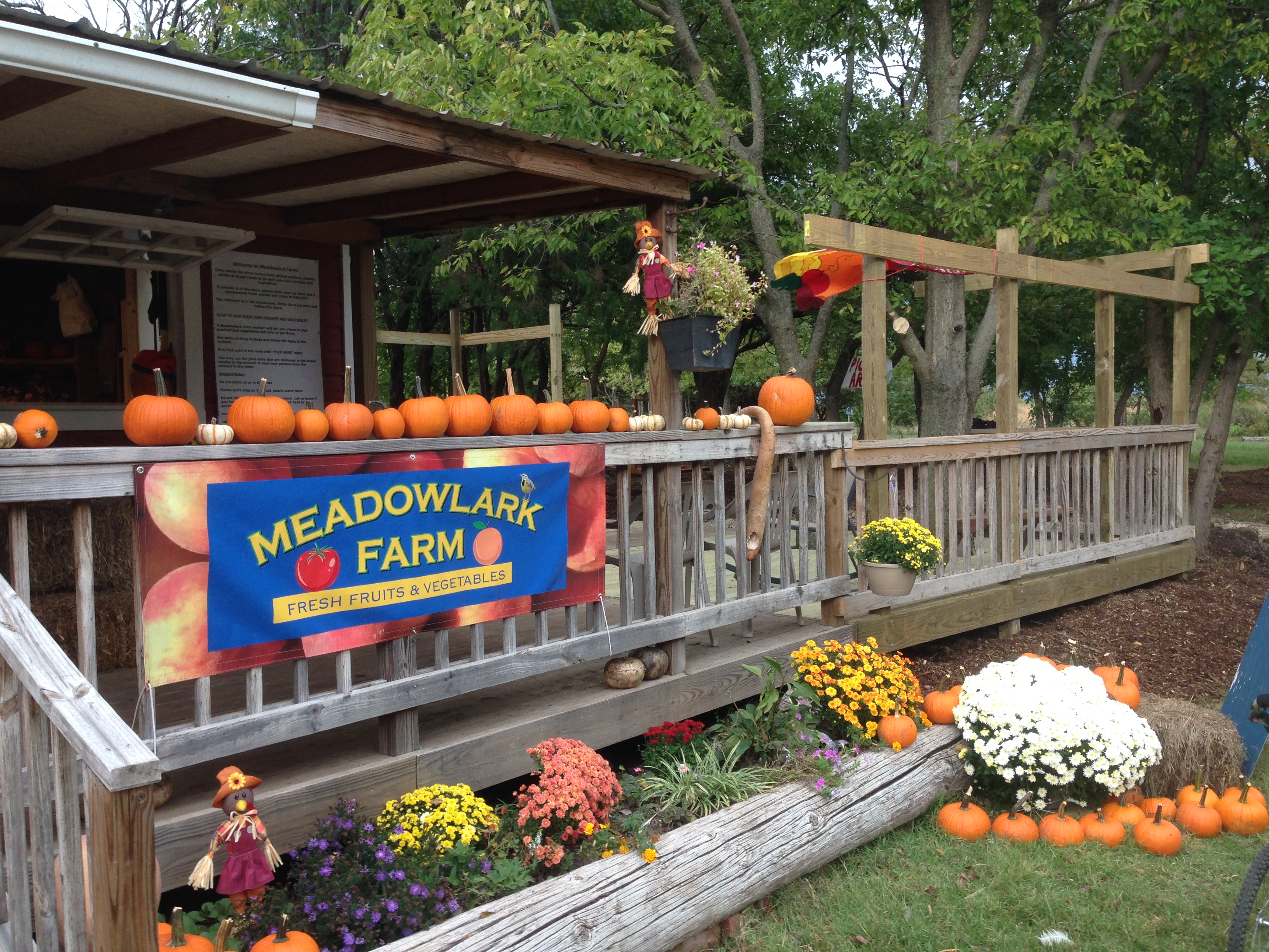 Meadowlark Farm Is The Ultimate UPick Farm In Kansas