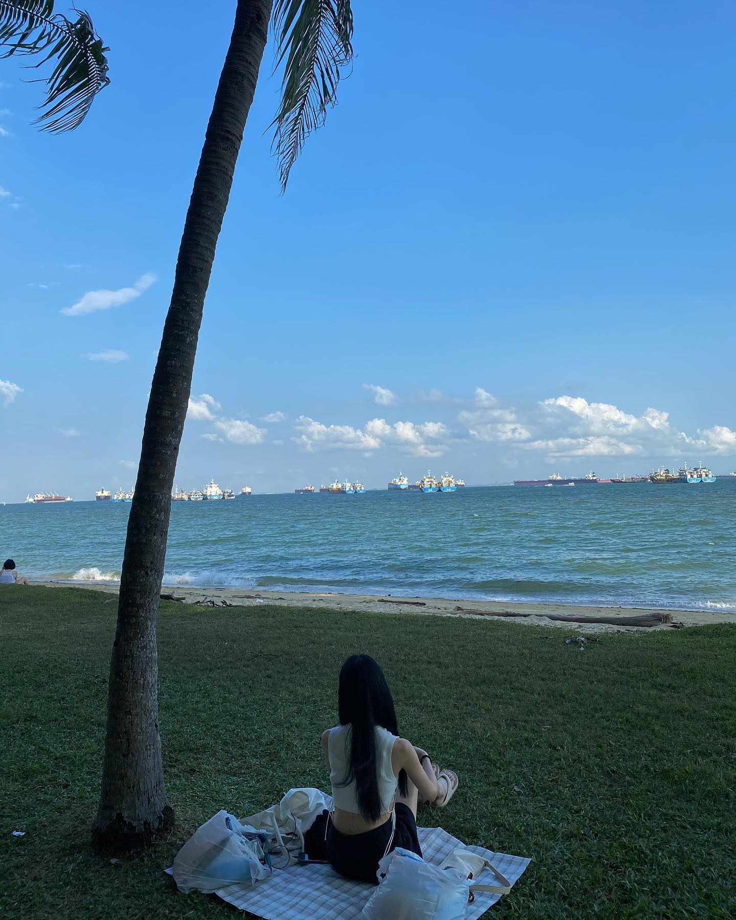 6 Valentine s Day Picnic Ideas in Singapore The Meatmen