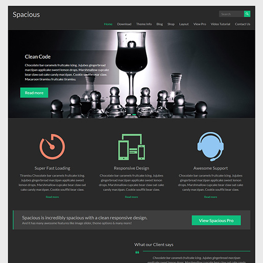 13 Best Free Dark WordPress Themes for Your Site (2024)!