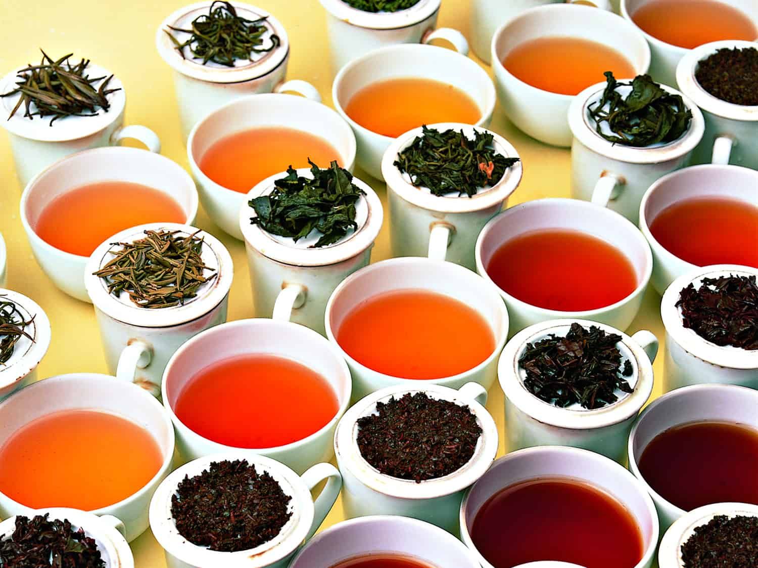 Tea Tasting & Blending The Mellow SF