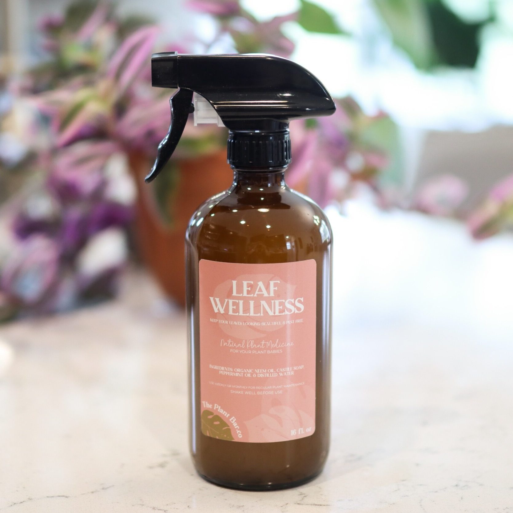 Leaf Wellness The Mellow SF