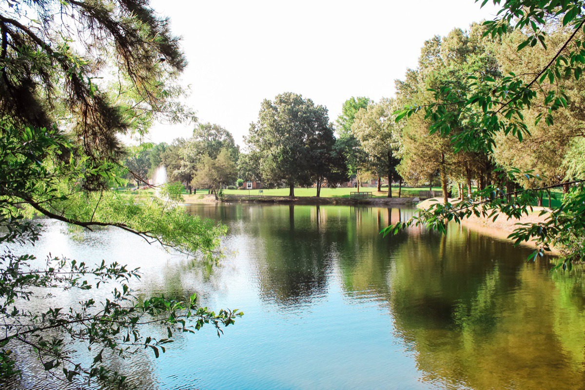 Germantown Parks Commission supports park renovations Memphis Local, Sports, Business & Food