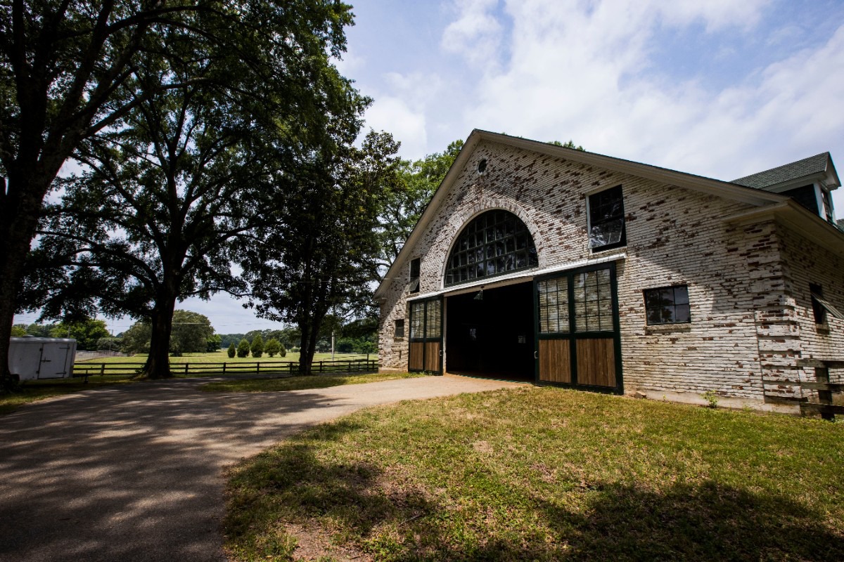 Germantown's Wildwood Farm partnering with UT Martin Memphis Local