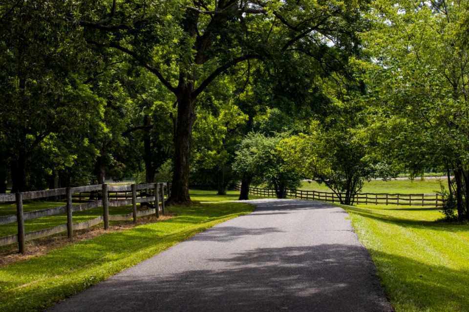Germantown's Wildwood Farm partnering with UT Martin Memphis Local