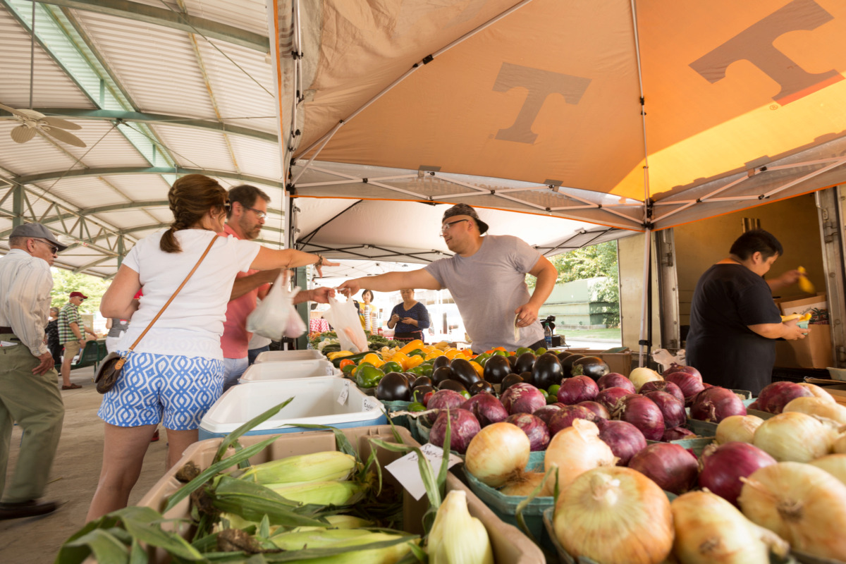 New farmers market openair pavilions planned for Bartlett and Arlington Memphis Local, Sports