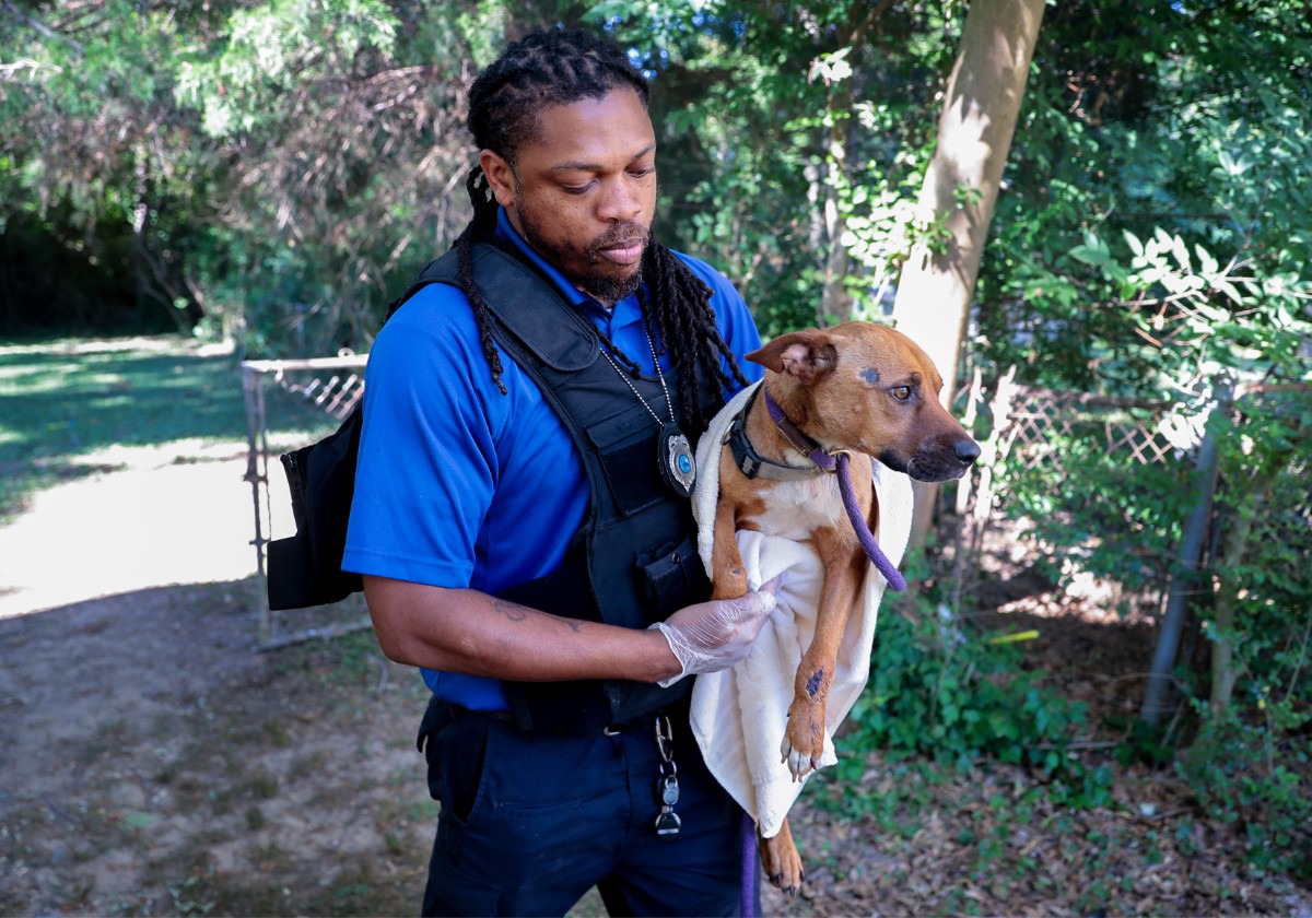 Memphis man named Animal Control Officer of the Year Memphis Local