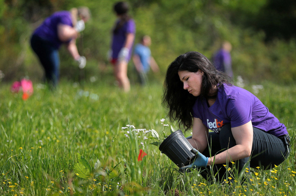 FedEx volunteers spruce up Wolf River Greenway's newest section