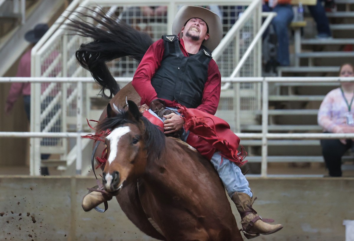 Liberty Bowl events Parade, Rodeo in pictures Memphis Local, Sports