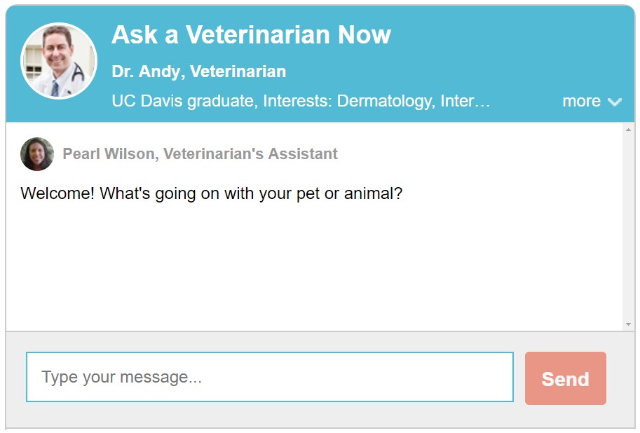 JustAnswer graphic the meowing vet
