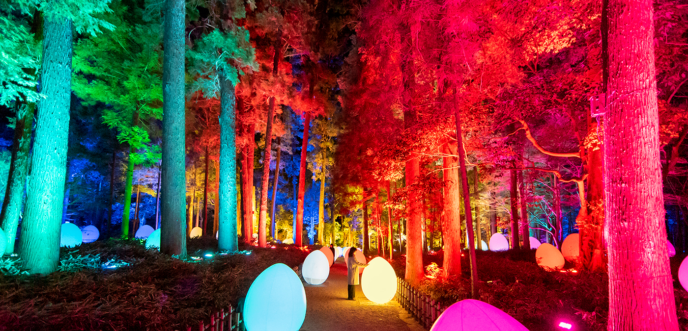 teamLab Delivering Beautiful Immersive and Artistic Experiences