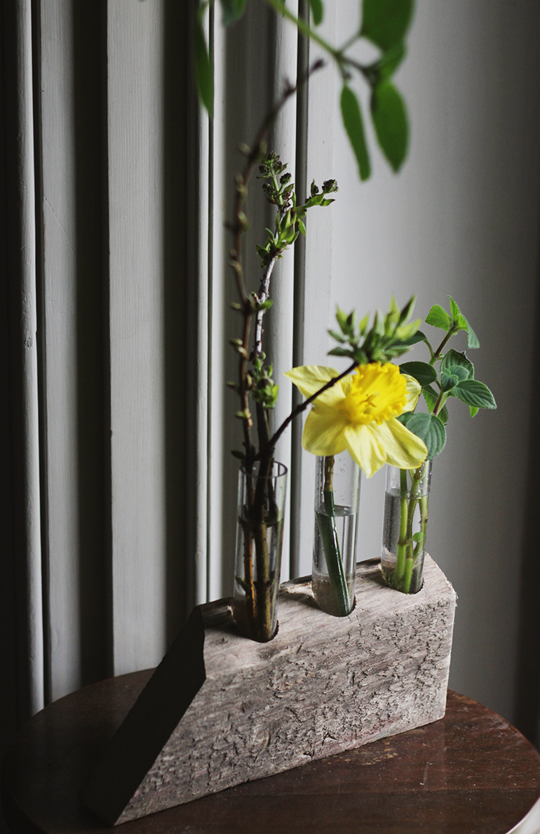 DIY Test Tube Bud Vases The Merrythought