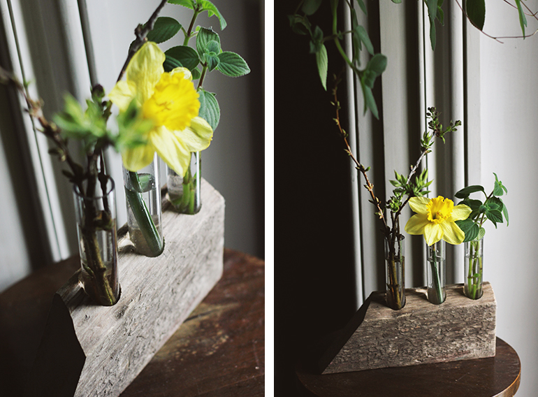 DIY Test Tube Bud Vases The Merrythought