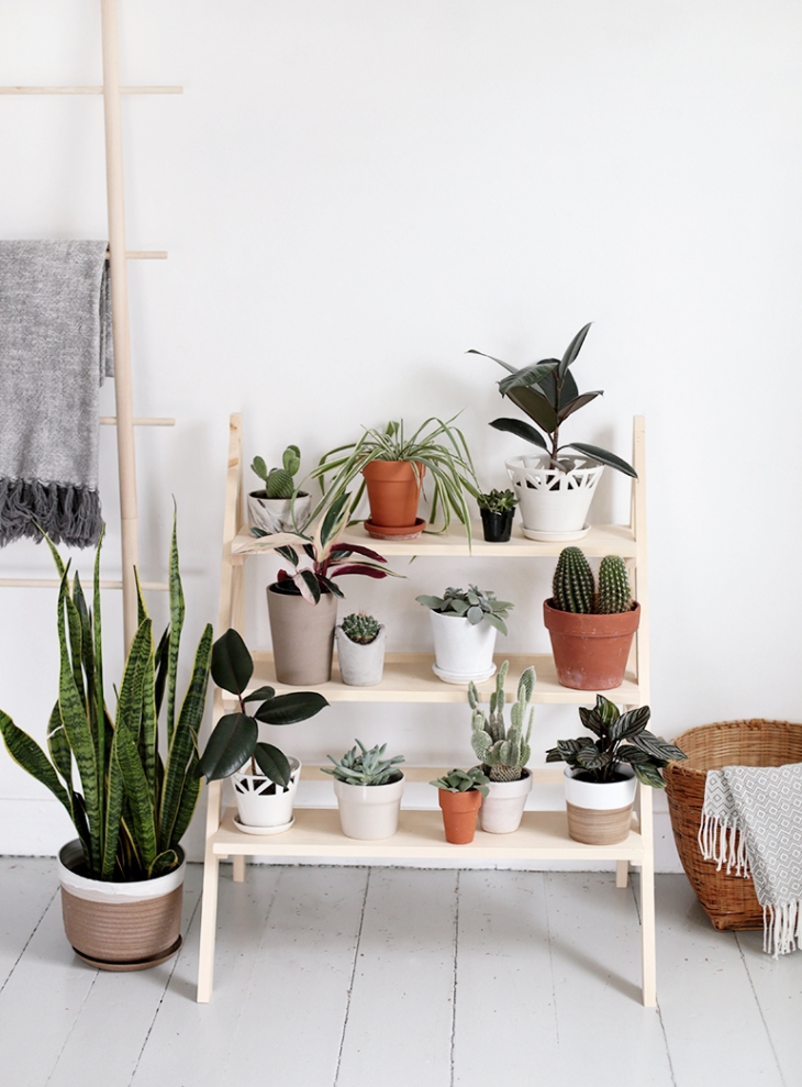 DIY Ladder Plant Stand » The Merrythought