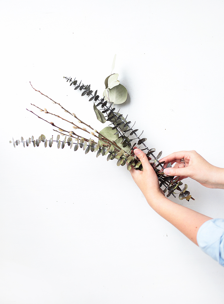 How to Preserve Eucalyptus Simple Way to Preserve Eucalyptus