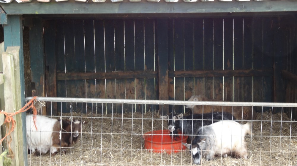 Crealy UK Theme Parks