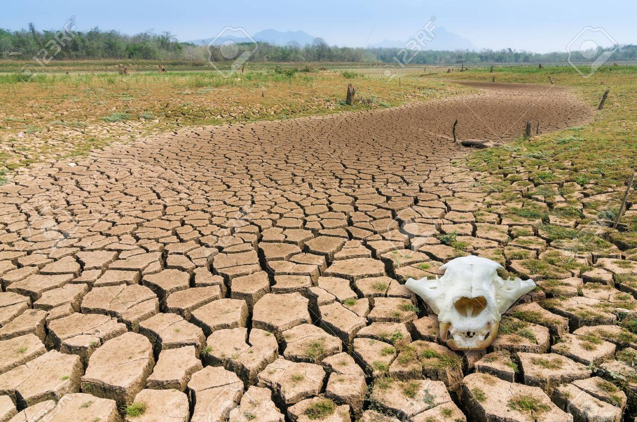 Mexico City may run out of water in 1.5 years The Mexico City Post