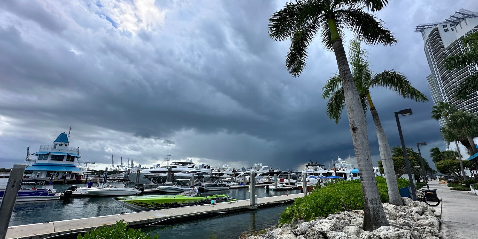 What To Do The Miami Guide