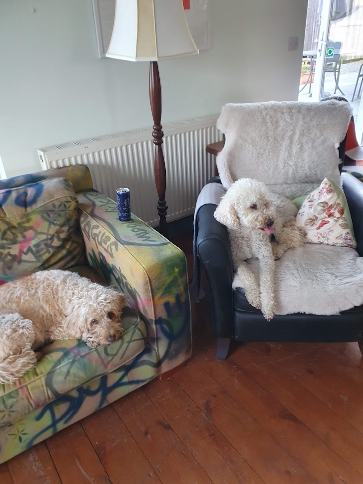 Dog Friendly Cottages Glastonbury, Somerset The Middlewick