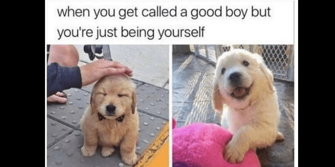 35 ‘Wholesome’ Memes for Anyone Having a Bad Mental Health Day The Mighty