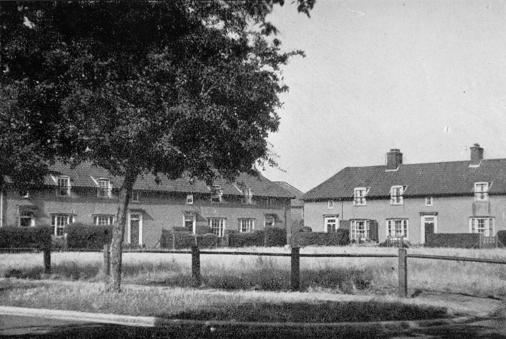 A century of council housing in the City of Norwich. The Mile Cross Man