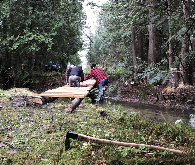 The Millbrook Valley Trails Connects to the Ganaraska Forest The