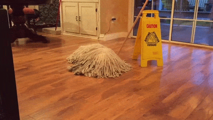 10+ Unbelievable Examples of Animal Camouflage That Will Make You Look