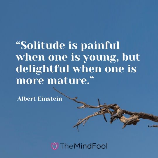 101 Solitude Quotes To Clear Mind from Chaos TheMindFool