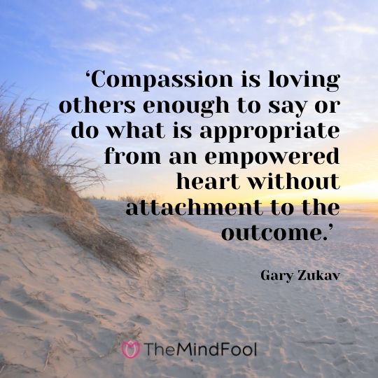 101 Compassion Quotes Self Compassion Quotes Quotes about Kindness