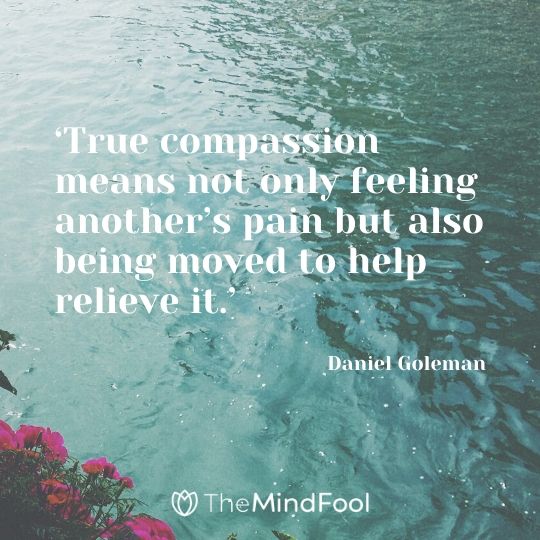 101 Compassion Quotes Self Compassion Quotes Quotes about Kindness