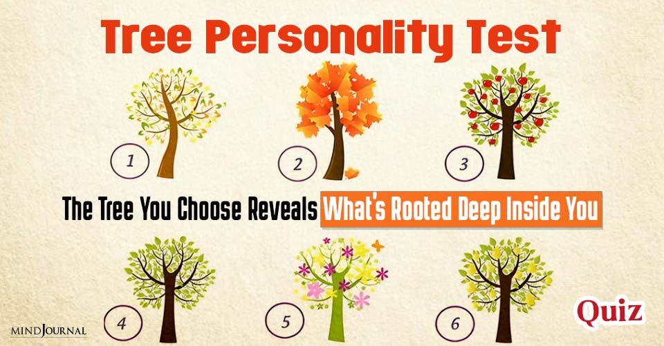 Tree Personality Test 6 Interesting Options Pick A Tree!