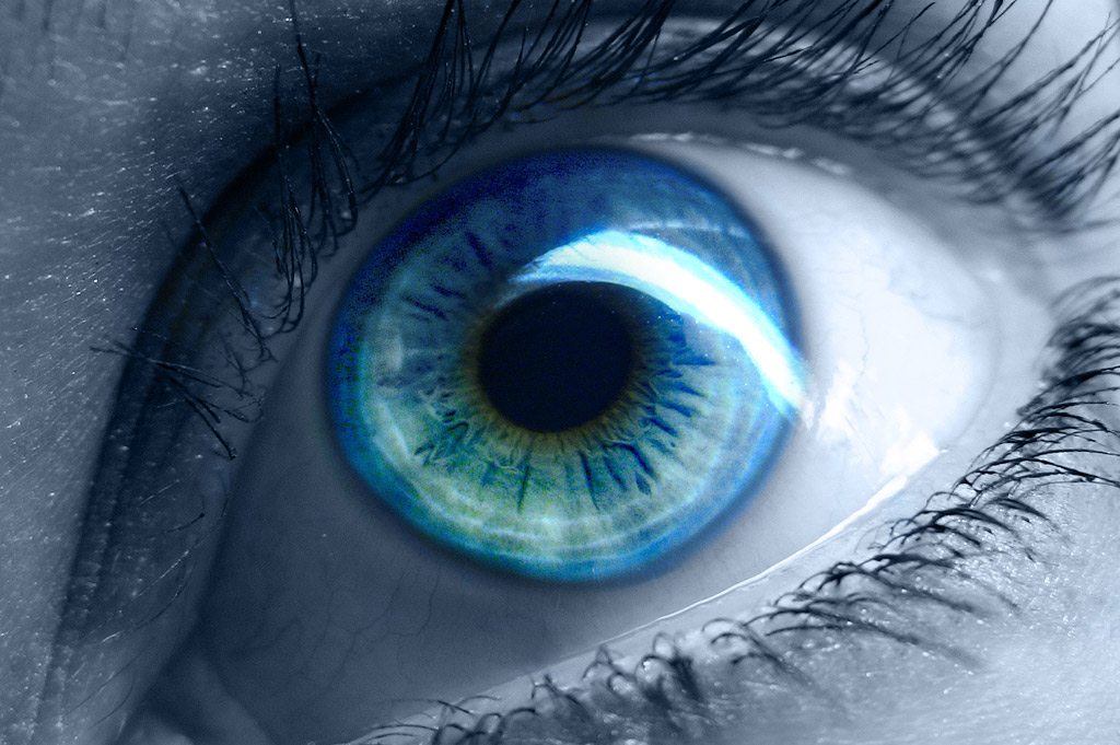 Blue Eyes Originated 10,000 Years Ago in the Black Sea Region