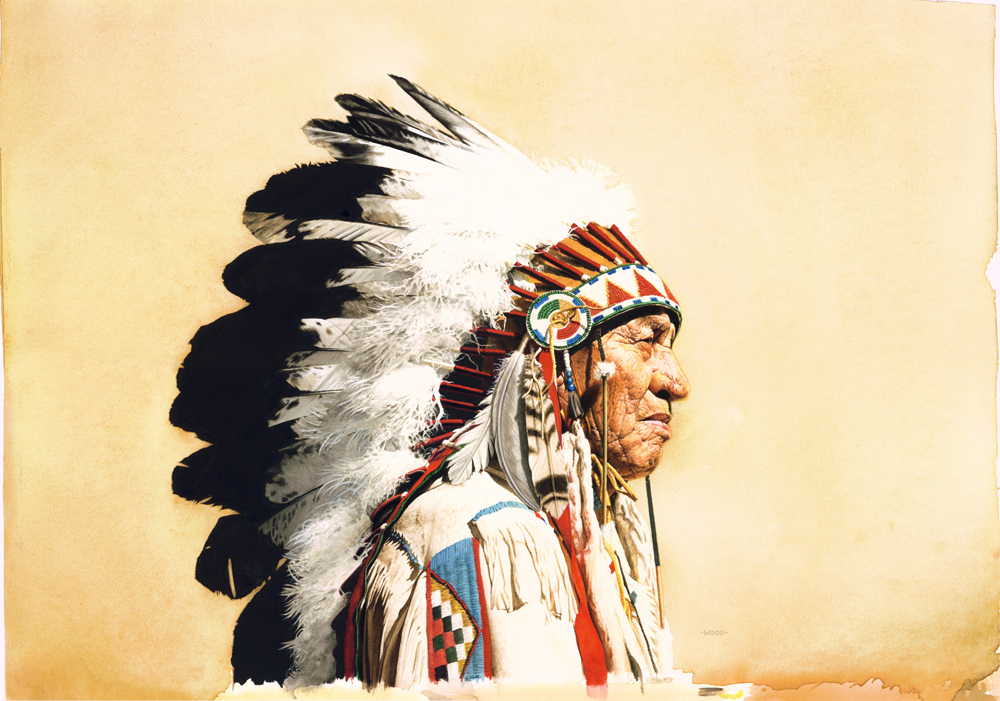 DNA Analysis Shows That Native American Genealogy Is One of the Most