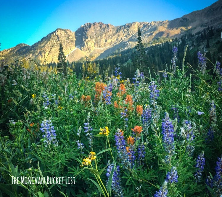 6 Best Hikes in Little Cottonwood Canyon The Minivan Bucket List