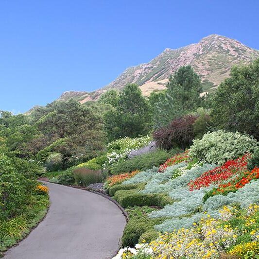 7 Best Places to See Spring Flowers in Utah The Minivan Bucket List