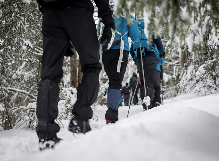 Top 10 Best Snowshoeing Trails in Utah for a Winter Adventure The
