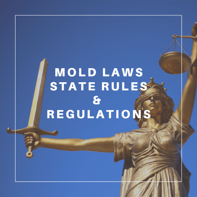 Know Your Rights Against Mold The Mold Guy