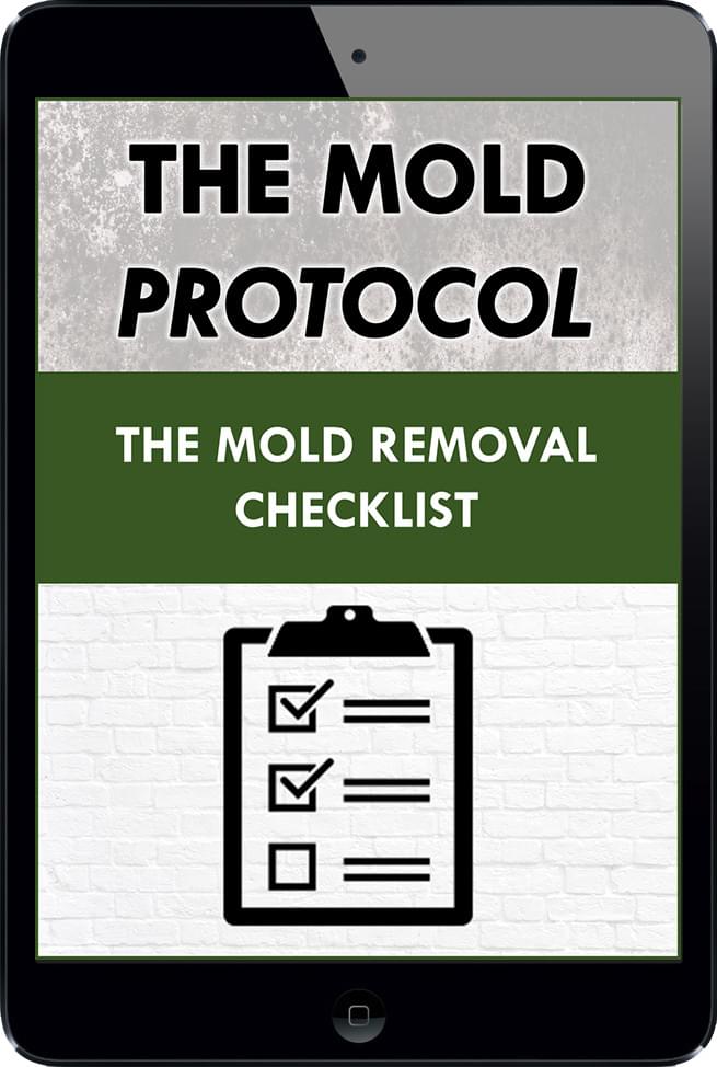 The Mold Protocol Home The Mold Insider