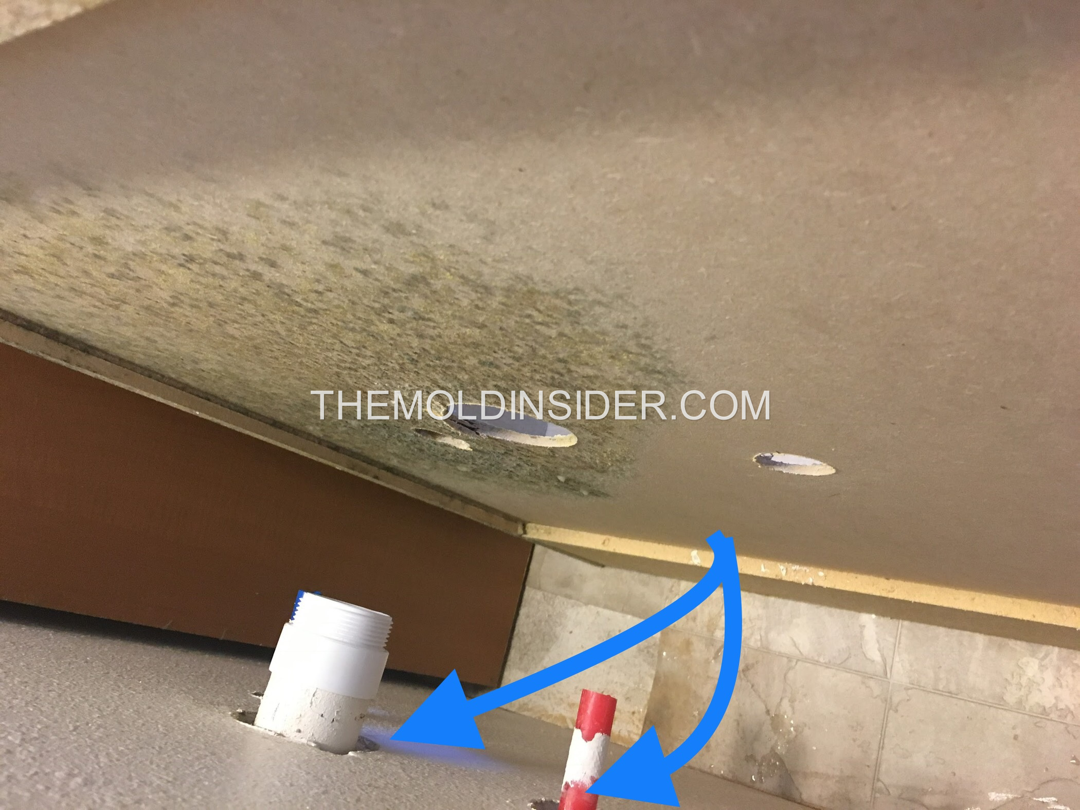 How We Got Rid of Mold in Bathroom (Step By Step) The Mold