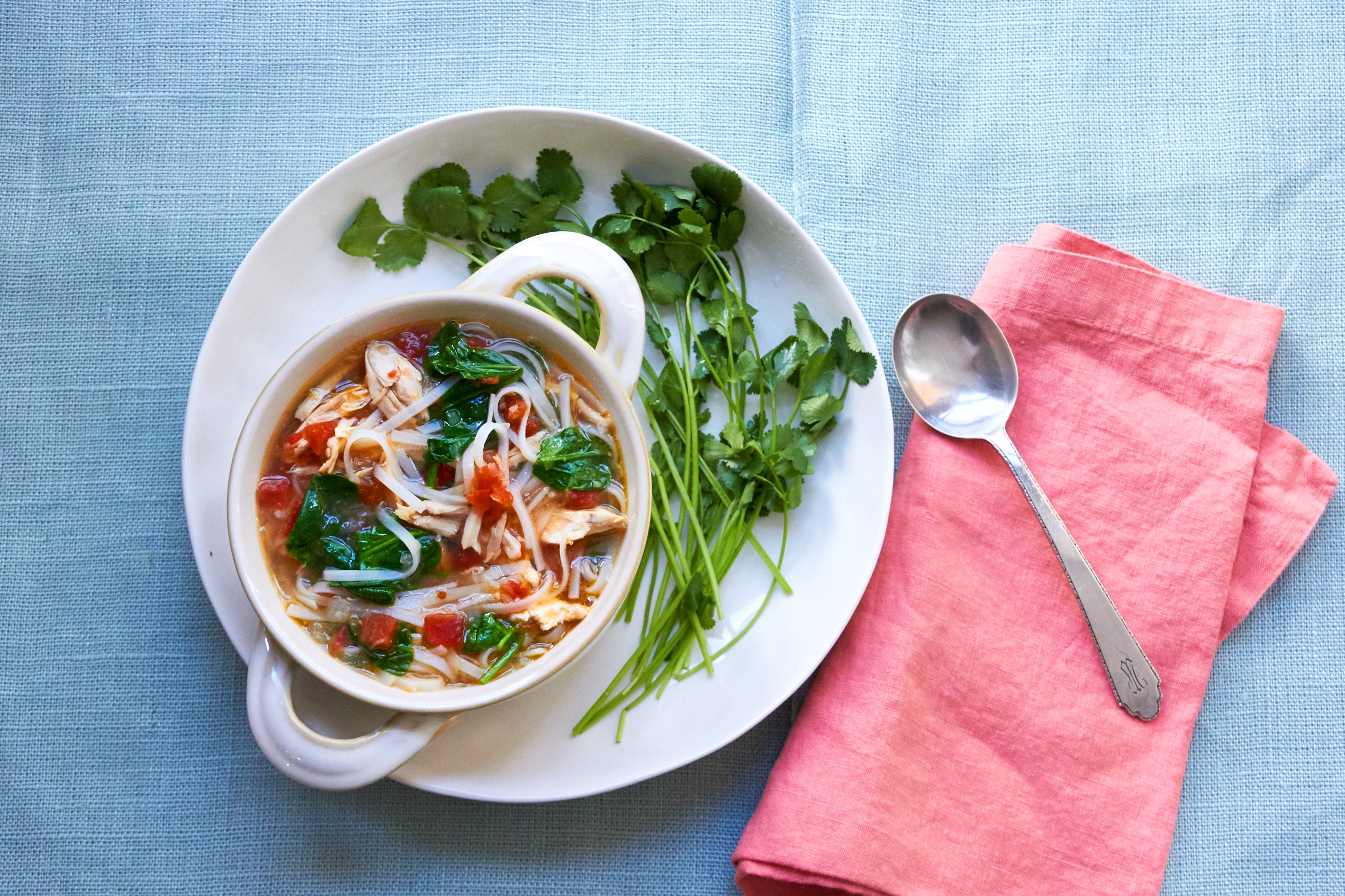 Spicy Thai Chicken and Rice Noodle Soup Recipe — The Mom 100