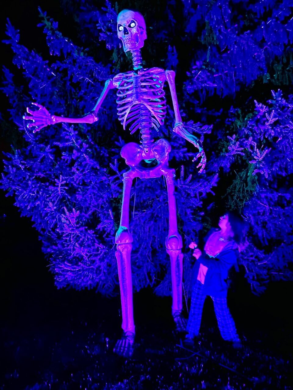 How To Horrify Your Neighbors This Halloween The Mom Edit