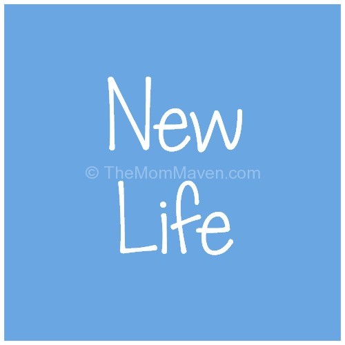 New Life The Mom Maven
