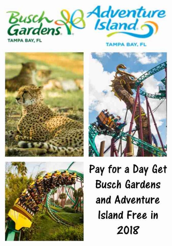 Busch Gardens Tampa Bay and Adventure Island Ticket Deal