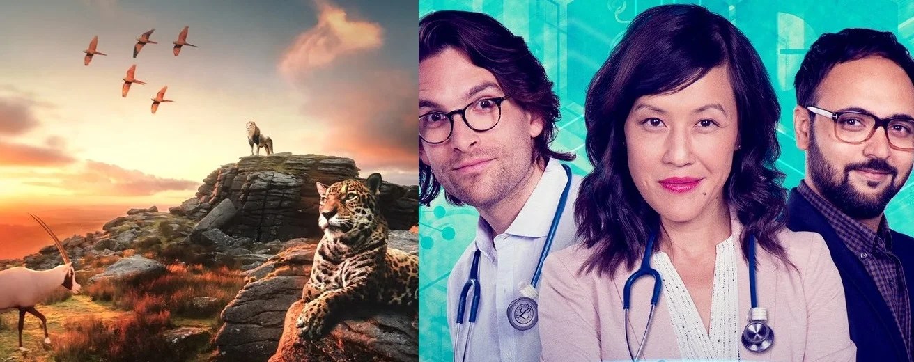 Top 10 Educational Shows on Netflix Adults Can Enjoy